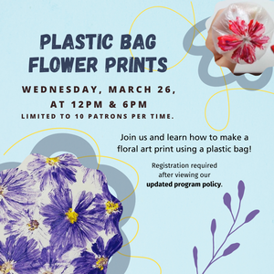 Adult Plastic Bag Fl